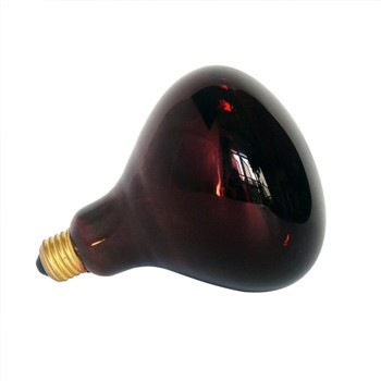 Enfrawouj Brooder lanp