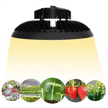 Quantum Par dirije grandi limyè